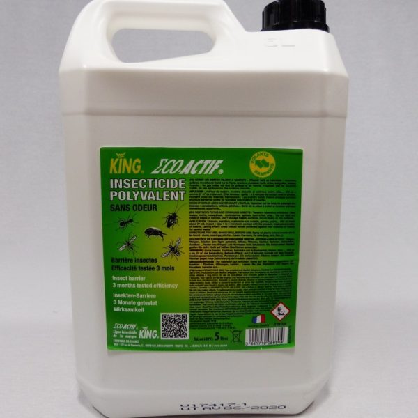 1509 INSECTICIDE POLYVALENT KING  bidon 5 litres