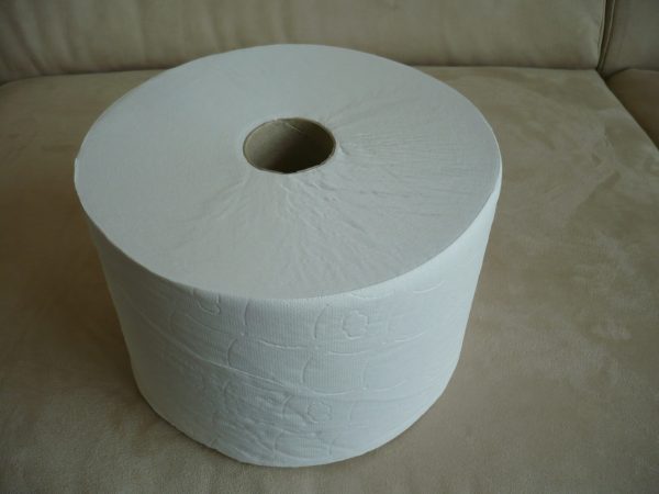 35011 PAPIER MINI TOILETTE A DÉVIDAGE CENTRAL ÉCOLABEL colis de 12 rlx