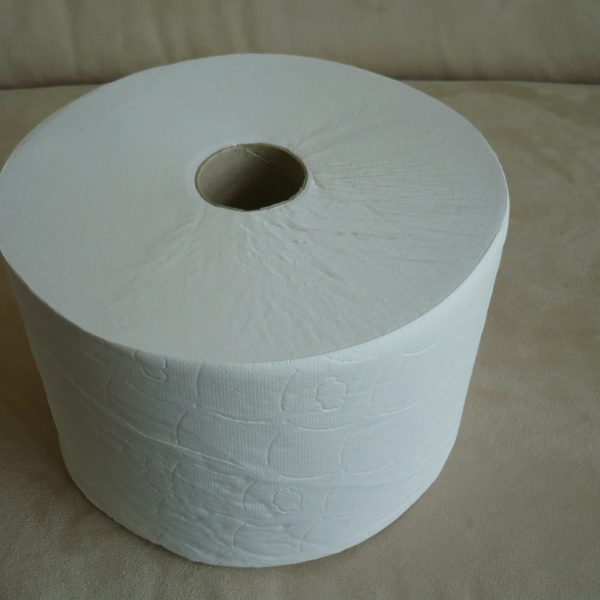 35011 PAPIER MINI TOILETTE A DÉVIDAGE CENTRAL ÉCOLABEL colis de 12 rlx