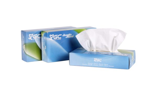3517 MOUCHOIR BLANC ÉCOLABEL 2 plis boite de 100 u