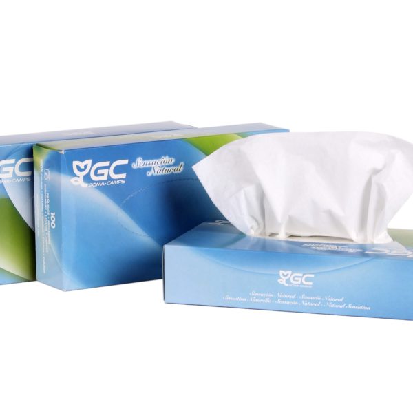 3517 MOUCHOIR BLANC ÉCOLABEL 2 plis boite de 100 u