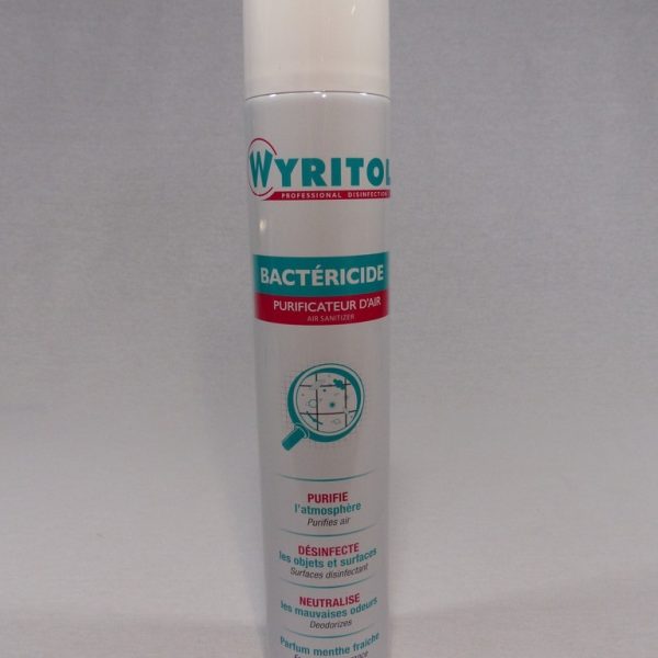 42711 AÉROSOL DÉSODORISANT BACTÉRICIDE MENTHE 750 ml