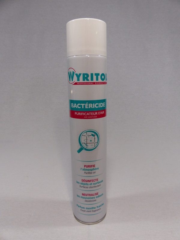 42711 AÉROSOL DÉSODORISANT BACTÉRICIDE MENTHE 750 ml