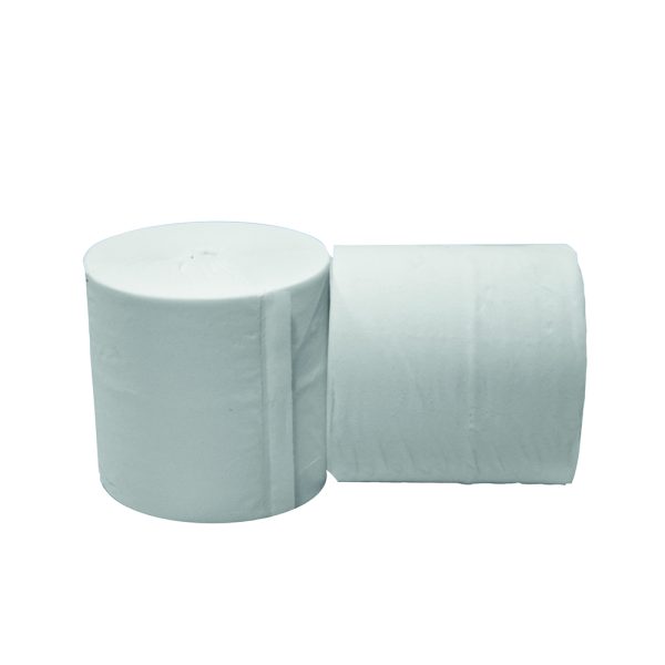 10015 PAPIER TOILETTE COMPACT ECOLABEL