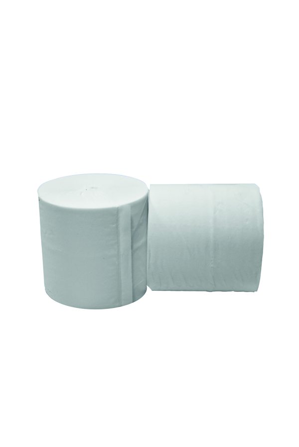 10015 PAPIER TOILETTE COMPACT ECOLABEL